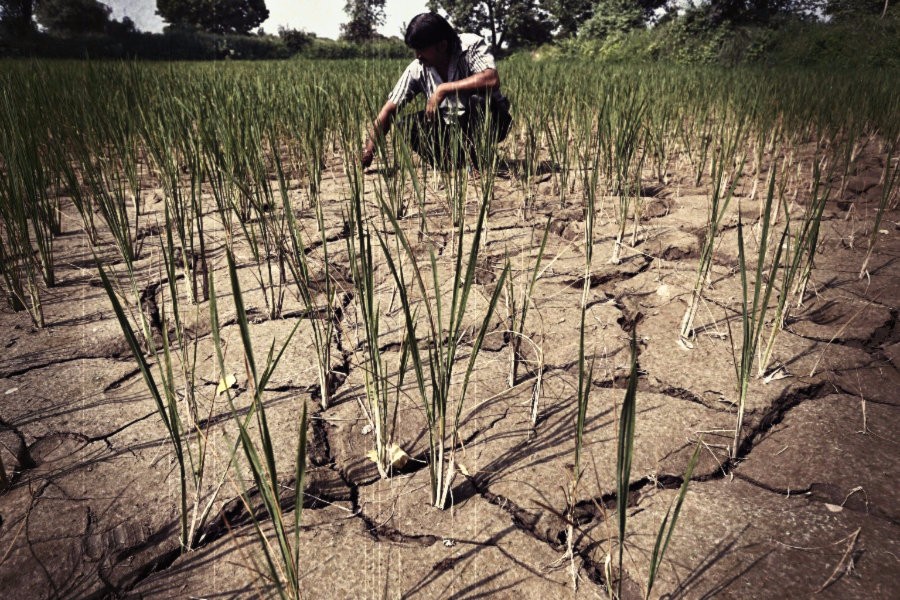 Farmers-Suicide-Reuters