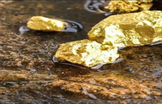 gold-620x400