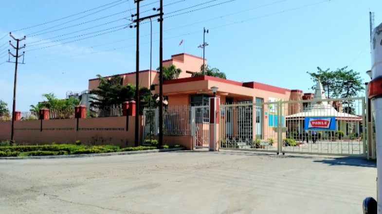 Parale_Sitar_Plant-2