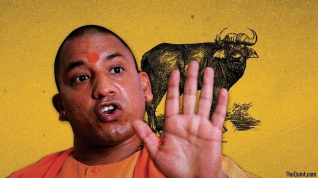 Yogi_cartoon