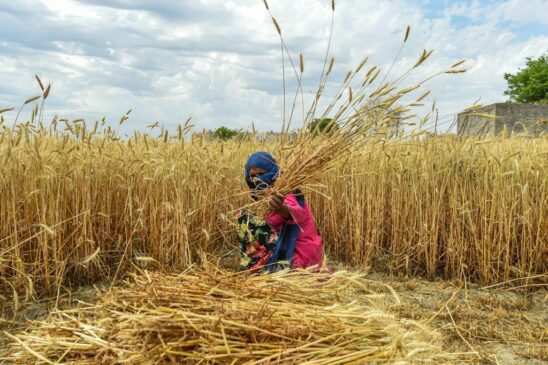 Farmers-Crop-Lockdown-PTI-7