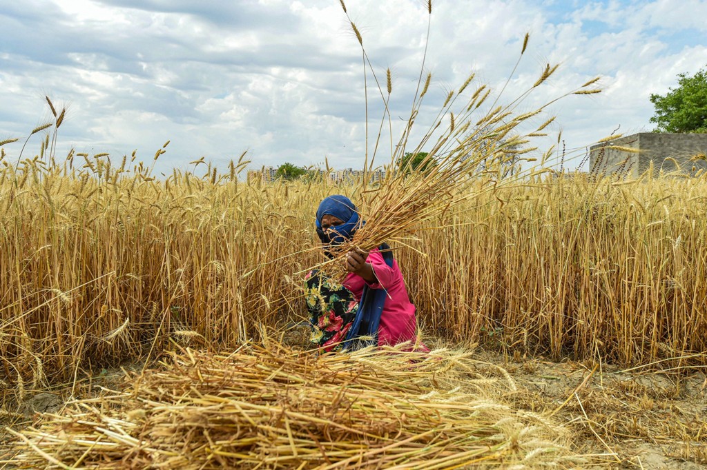 Farmers-Crop-Lockdown-PTI-7