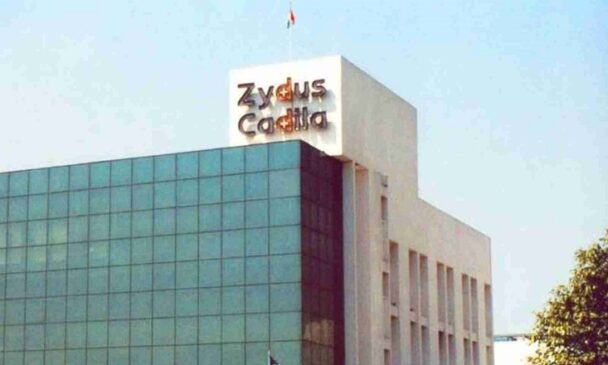 Zydus_plant