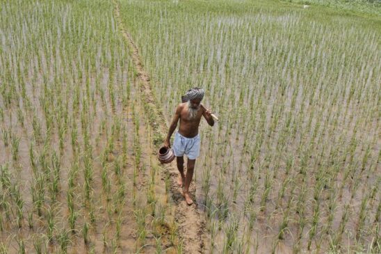 punjab_farmers_Reuters