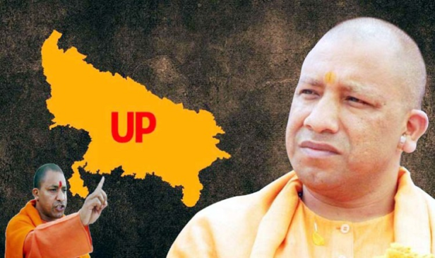 up_yogi
