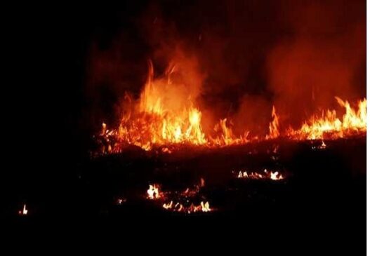 Egypt-41-killed-in-Coptic-church-fire