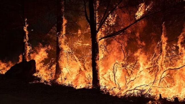 Canada fire jpeg