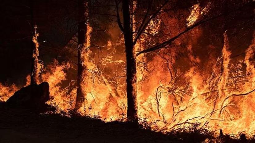 Canada fire jpeg