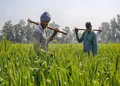 kisan_1
