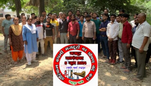 Dolfin_panchayt